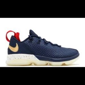 NIKE LeBron 14 Low USA